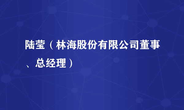 陆莹（林海股份有限公司董事、总经理）