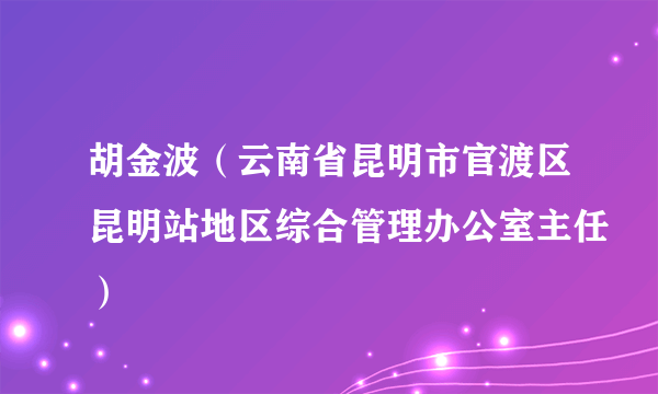 胡金波（云南省昆明市官渡区昆明站地区综合管理办公室主任）