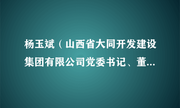 杨玉斌（山西省大同开发建设集团有限公司党委书记、董事长，高级经济师）