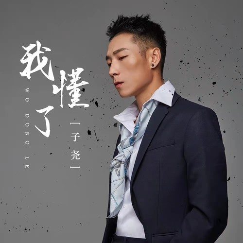 我懂了（子尧演唱歌曲）