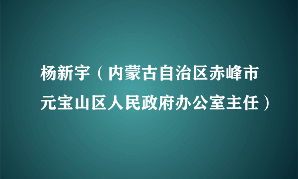 杨新宇（内蒙古自治区赤峰市元宝山区人民政府办公室主任）