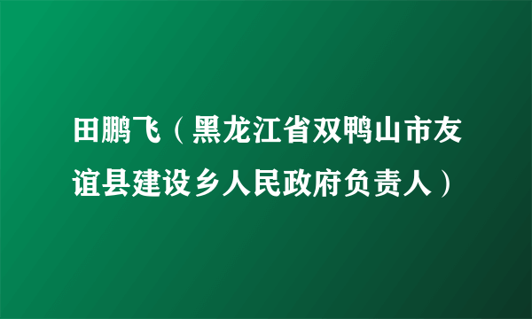 田鹏飞（黑龙江省双鸭山市友谊县建设乡人民政府负责人）