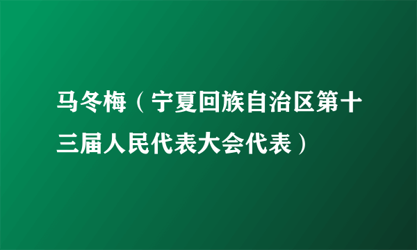 马冬梅（宁夏回族自治区第十三届人民代表大会代表）