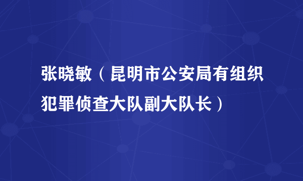 张晓敏（昆明市公安局有组织犯罪侦查大队副大队长）