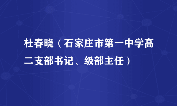 杜春晓（石家庄市第一中学高二支部书记、级部主任）