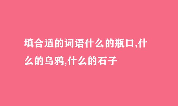 填合适的词语什么的瓶口,什么的乌鸦,什么的石子