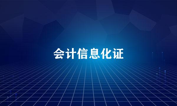 会计信息化证