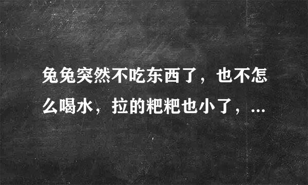 兔兔突然不吃东西了，也不怎么喝水，拉的粑粑也小了，尿也少了，还没精神，这是怎么了，现在兔子有四个