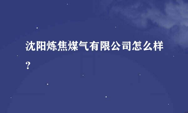 沈阳炼焦煤气有限公司怎么样？