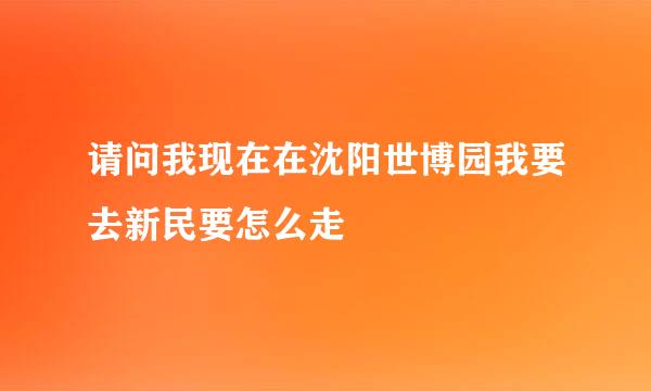 请问我现在在沈阳世博园我要去新民要怎么走