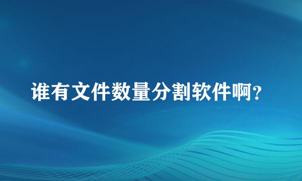 谁有文件数量分割软件啊？