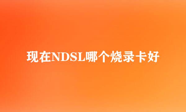 现在NDSL哪个烧录卡好