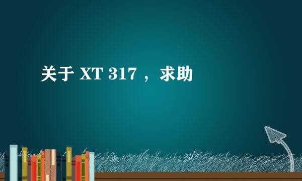 关于 XT 317 ，求助