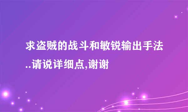 求盗贼的战斗和敏锐输出手法..请说详细点,谢谢