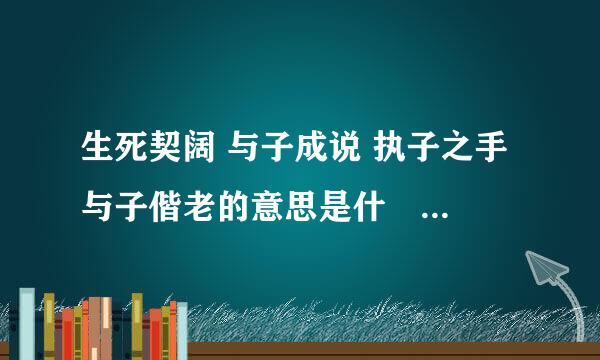 生死契阔 与子成说 执子之手 与子偕老的意思是什麼?_具体点