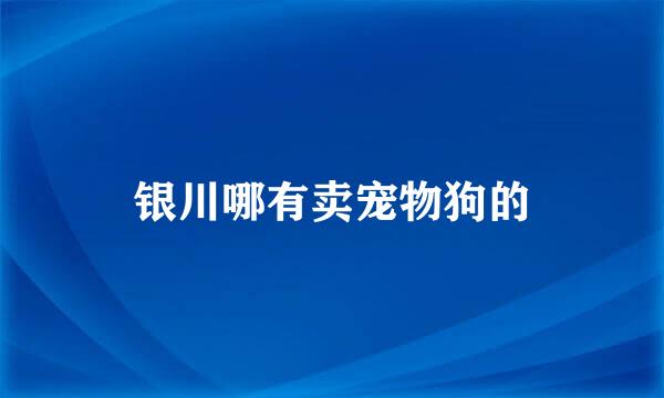 银川哪有卖宠物狗的