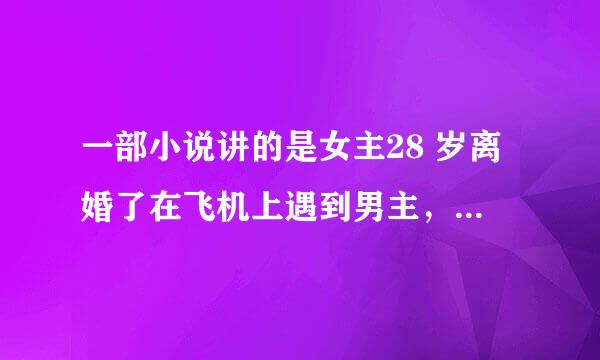 一部小说讲的是女主28 岁离婚了在飞机上遇到男主，女主的妹妹也爱男主并且还为了他自杀了，叫什么名字啊？