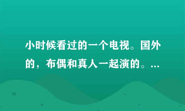 小时候看过的一个电视。国外的，布偶和真人一起演的。布偶是4个动物，老鼠，猫，兔子，狗。