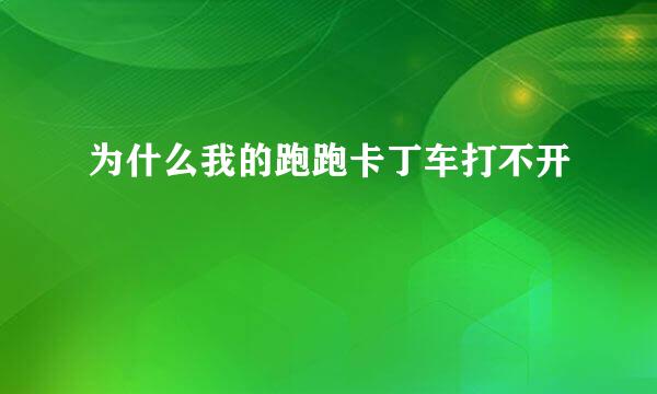 为什么我的跑跑卡丁车打不开