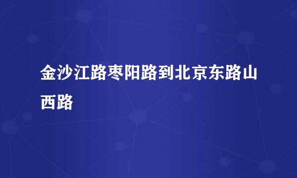 金沙江路枣阳路到北京东路山西路