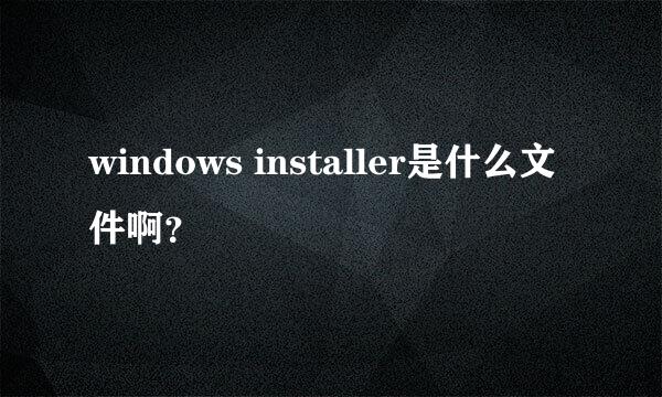 windows installer是什么文件啊？