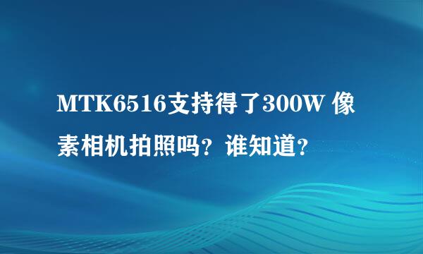 MTK6516支持得了300W 像素相机拍照吗？谁知道？