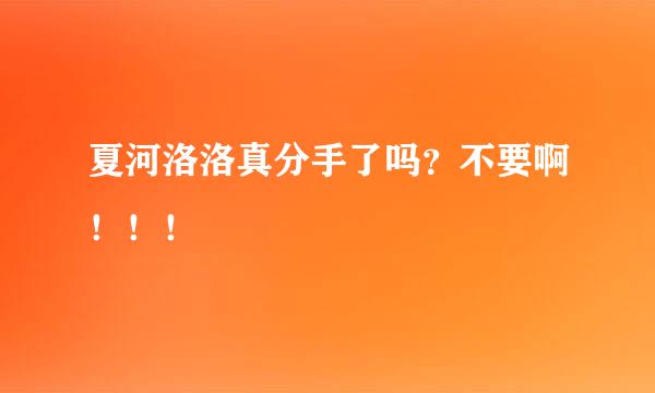 夏河洛洛真分手了吗？不要啊！！！