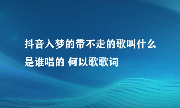 抖音入梦的带不走的歌叫什么是谁唱的 何以歌歌词