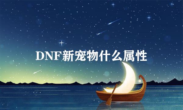 DNF新宠物什么属性