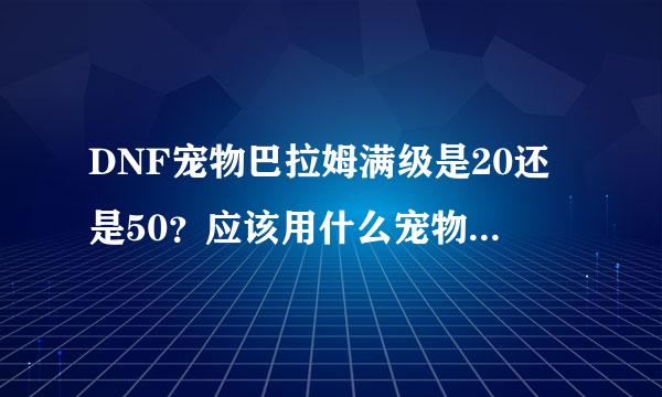 DNF宠物巴拉姆满级是20还是50？应该用什么宠物装备呢？