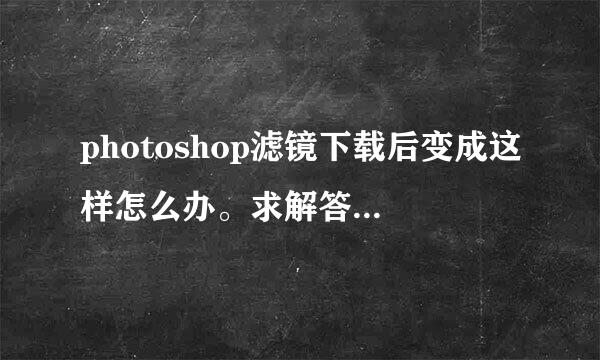 photoshop滤镜下载后变成这样怎么办。求解答！！！~