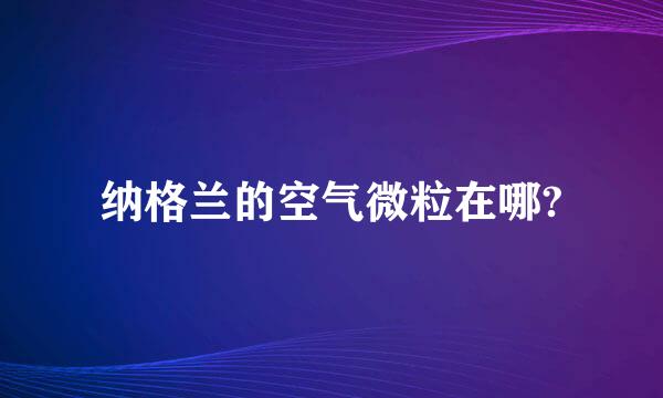 纳格兰的空气微粒在哪?