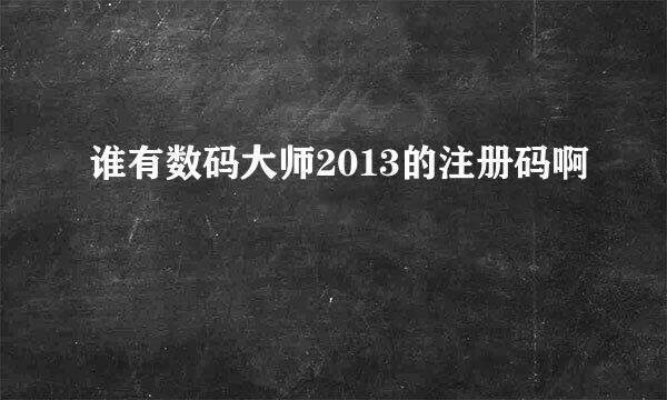 谁有数码大师2013的注册码啊