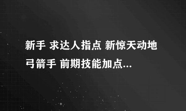 新手 求达人指点 新惊天动地 弓箭手 前期技能加点该怎么加？