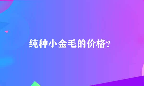 纯种小金毛的价格？