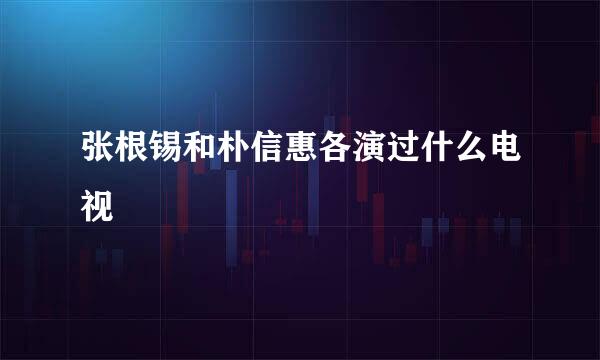 张根锡和朴信惠各演过什么电视