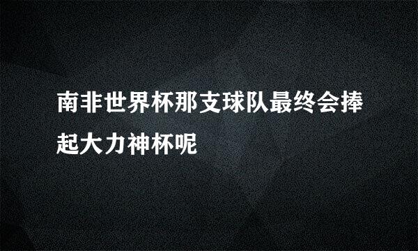 南非世界杯那支球队最终会捧起大力神杯呢