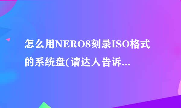 怎么用NERO8刻录ISO格式的系统盘(请达人告诉我详细步骤)