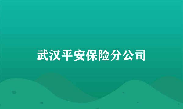 武汉平安保险分公司