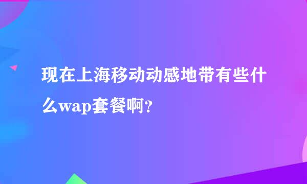 现在上海移动动感地带有些什么wap套餐啊？