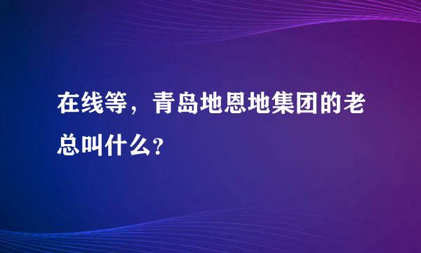 在线等，青岛地恩地集团的老总叫什么？