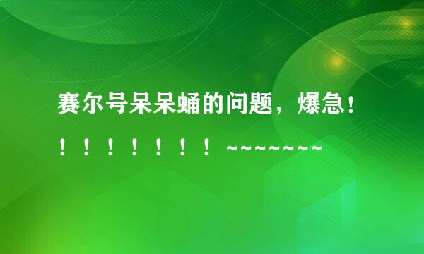 赛尔号呆呆蛹的问题，爆急！！！！！！！！~~~~~~~