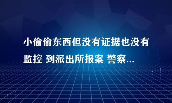 小偷偷东西但没有证据也没有监控 到派出所报案 警察会怎么办？