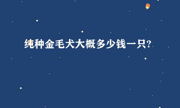 纯种金毛犬大概多少钱一只?