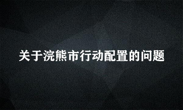 关于浣熊市行动配置的问题