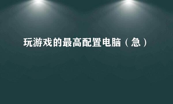 玩游戏的最高配置电脑（急）