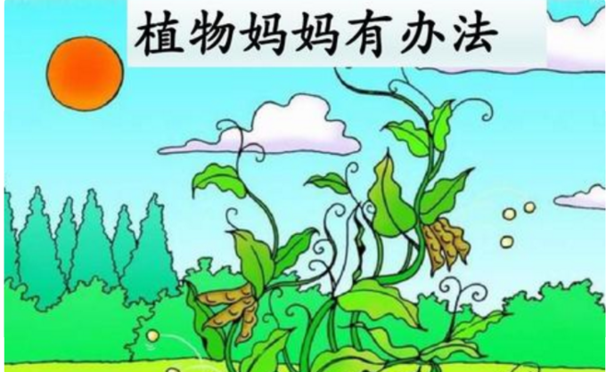 小学二年级语文上册第三课之 植物妈妈有办法,用什么来仿写?怎样写?