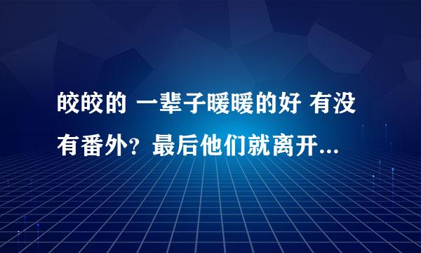 皎皎的 一辈子暖暖的好 有没有番外？最后他们就离开了赵家，没其他的了么？