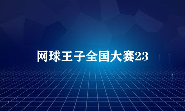 网球王子全国大赛23