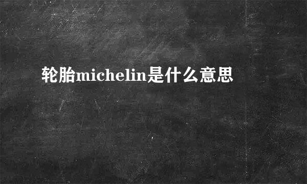 轮胎michelin是什么意思